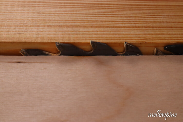 setting the blade height of table saw for jointing