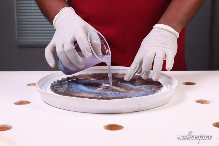 pouring cleaning solution into the lid