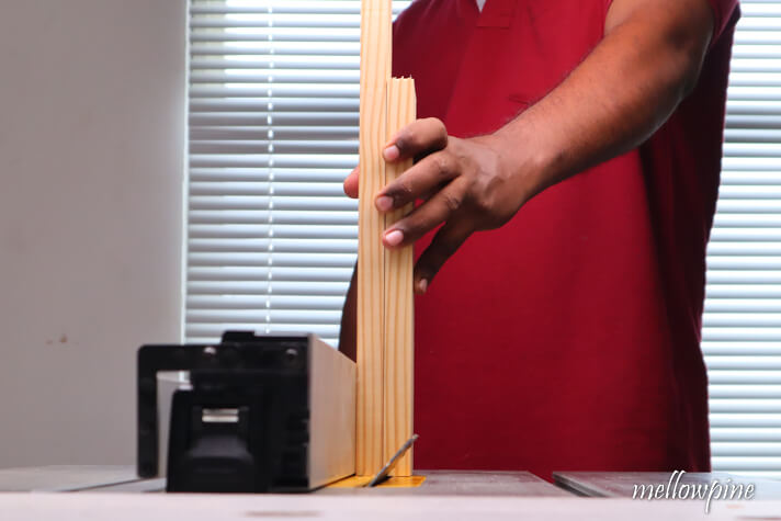setting the rip fence for making the bevel cut
