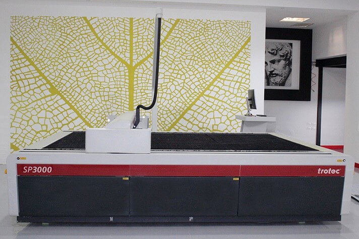 Trotec Sp3000 machine and a leaf design cut using it