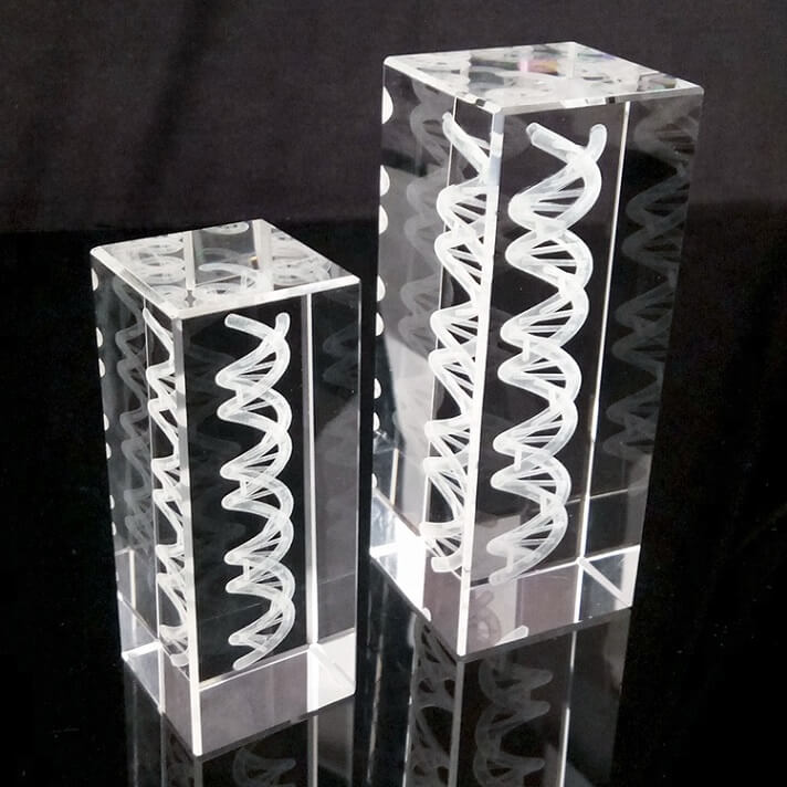 A glass bubblegram with a 3D design of DNA engraved inside it using the SSLE technique