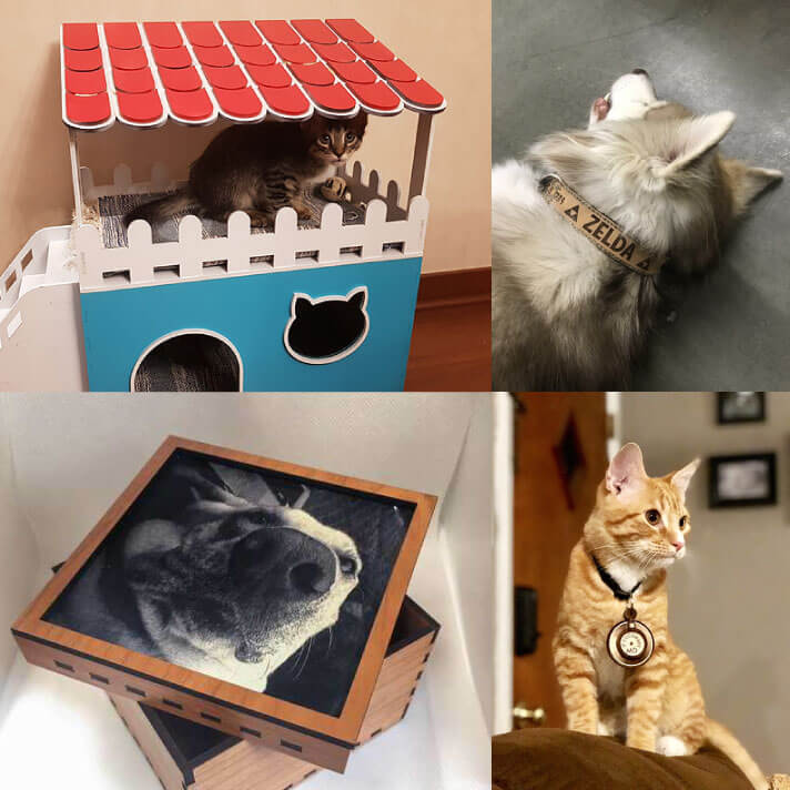 Laser-cut pet projects using Glowforge