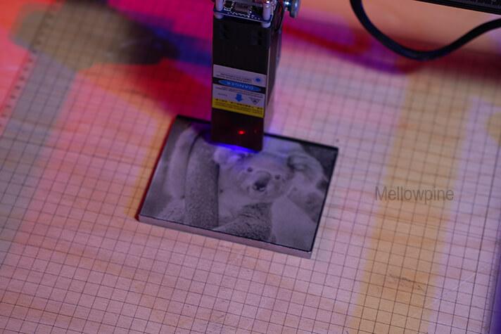 Laser engraving a photograph