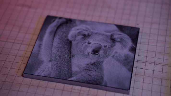 Image of a koala engraved on ceramic tile using Comgrow Z1 laser engraver