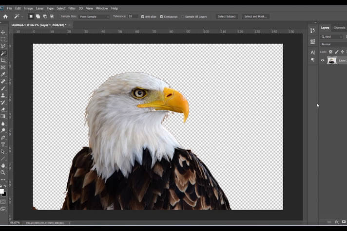 Preparing the raster design in Photoshop