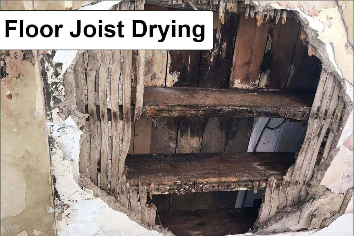 Floor Joist Drying