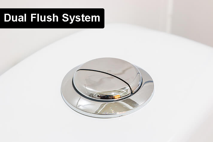 Dual Flush System