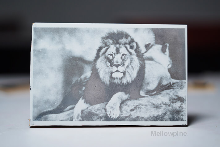 Engraving white ceramic tile using Ortur Laser Master 3