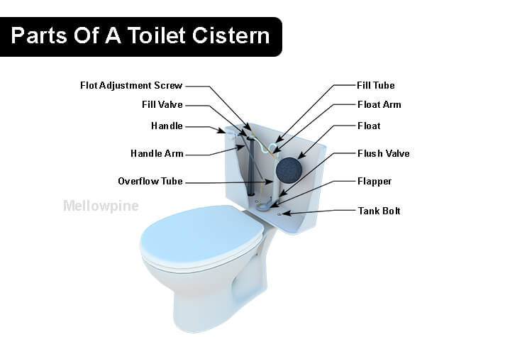 Parts of a Toilet Cistern