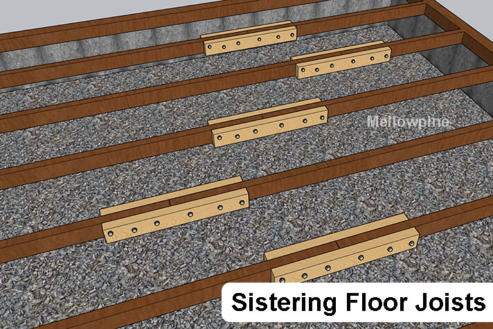 Sistering Floor Joists