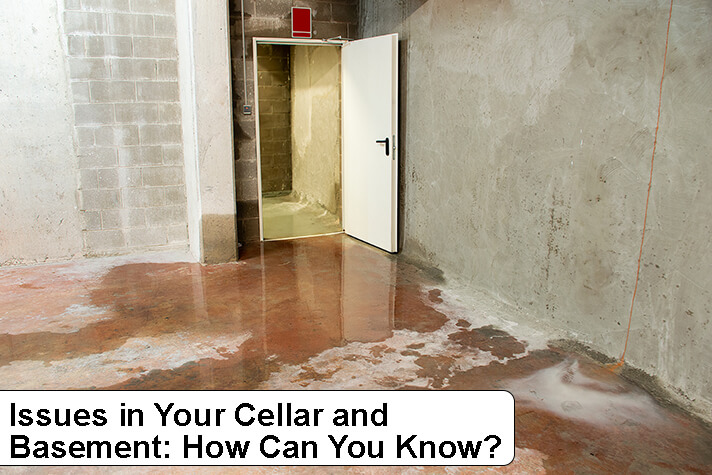 Issues in Your Cellar and Basement:How Can You Know?