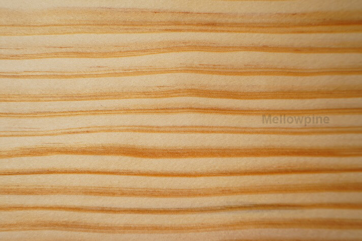 Tung oil finish on pine enhancing its natural grains