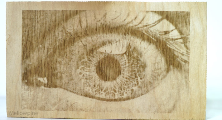 Plywood engraved using xTool 40W laser module